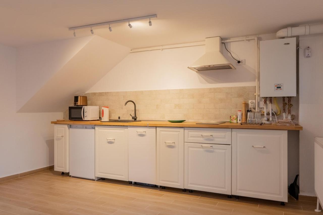 Family Apartment Sighișoara Zewnętrze zdjęcie